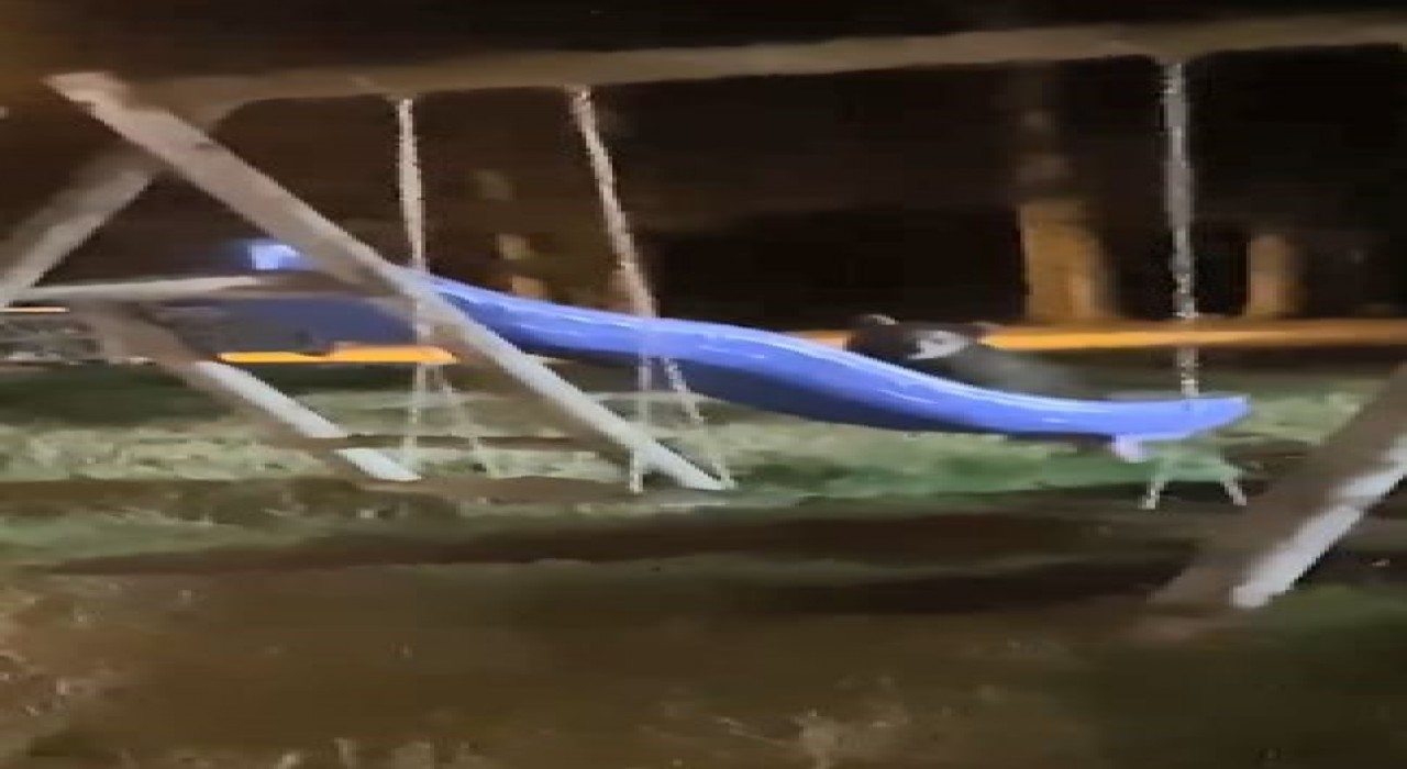 Artvinde yavru ayıların kaydırak merakı