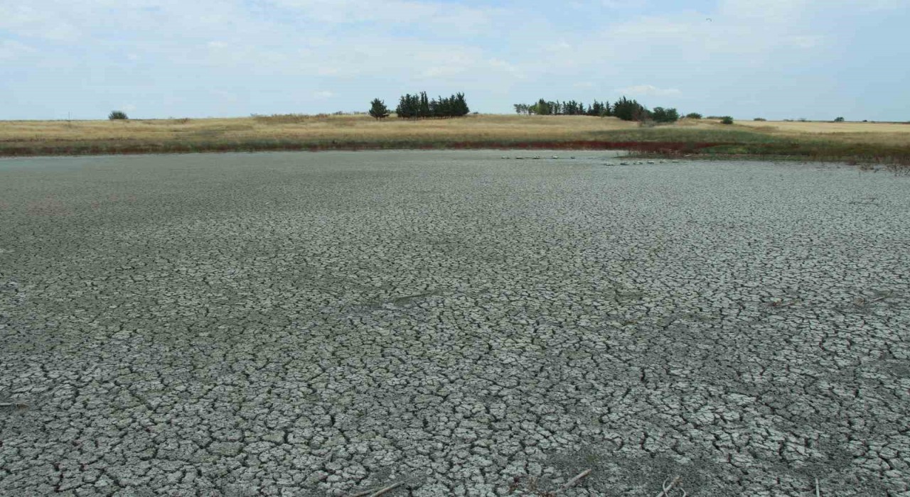 Aşırı sıcaklarda suları çekilen göletlerde balıklar yaşam mücadelesi veriyor