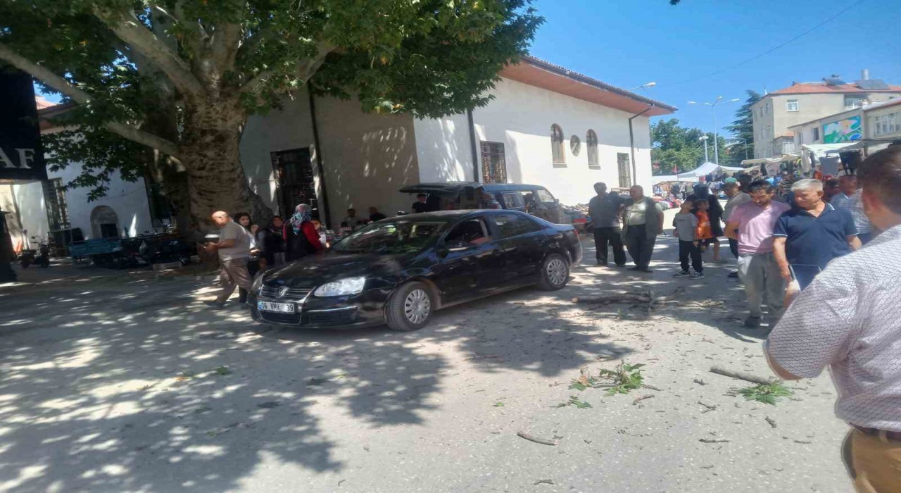 Asırlık çınarın dalı otomobilin üzerine düştü