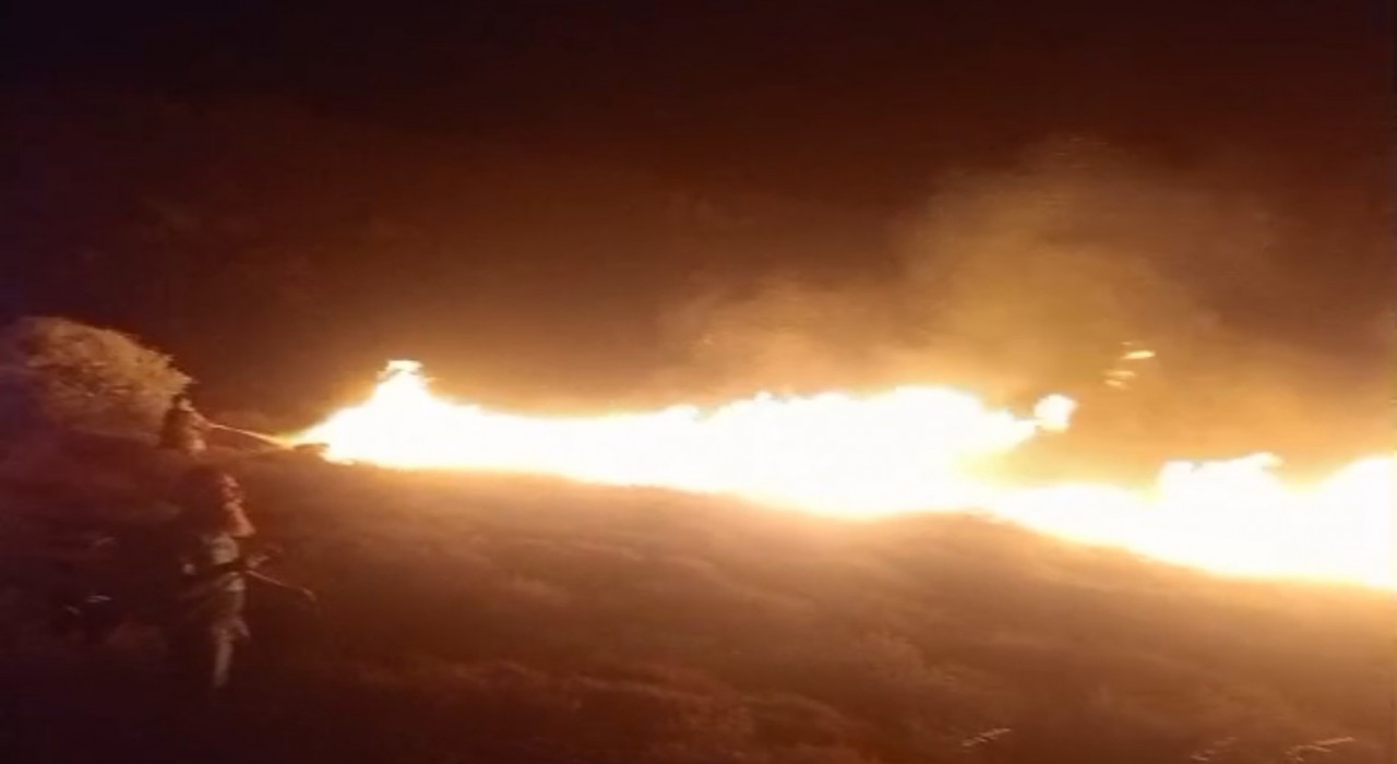 Avşa Adasında çıkan arazi yangını kontrol altına alındı