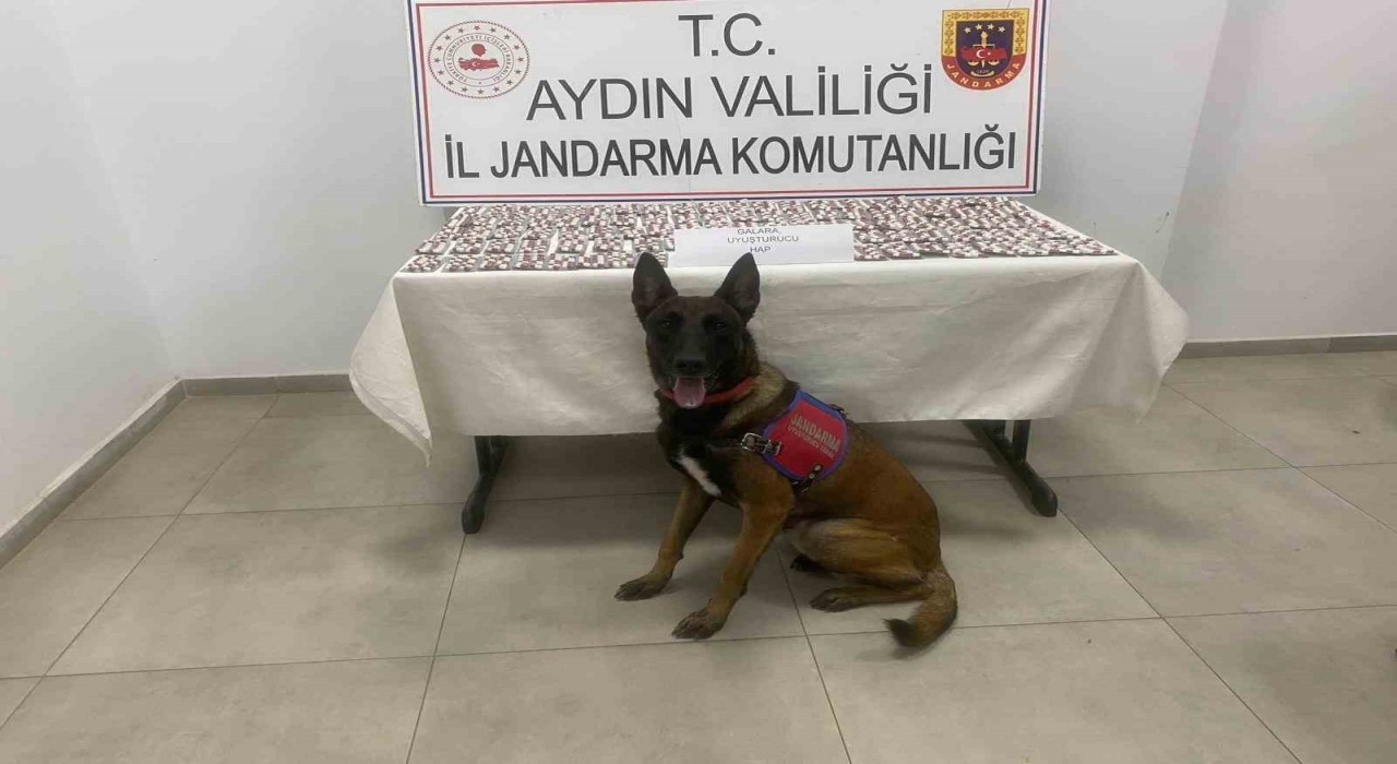 Aydında jandarmadan uyuşturucu operasyonu: 3 gözaltı