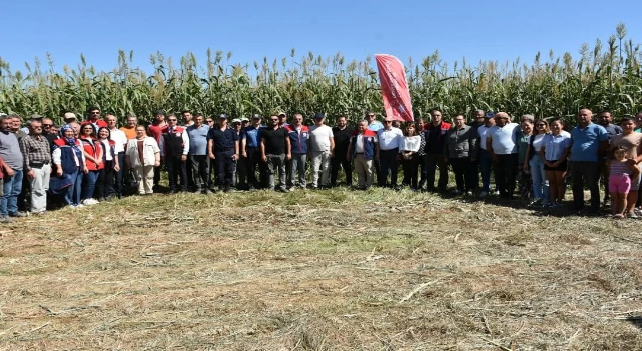 Aydında kaba yem açığını kapatacak proje meyvelerini veriyor