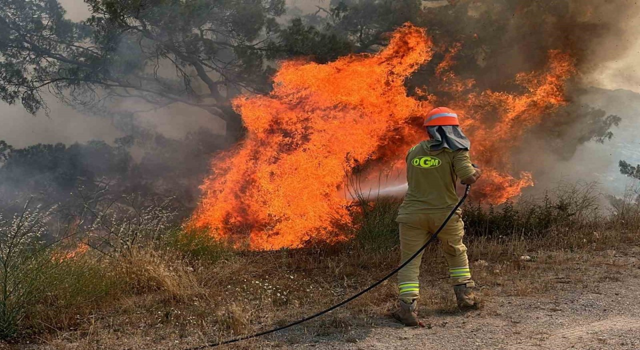 Aydında ormanlar için kırmızı alarm