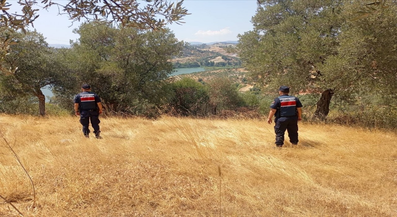Aydında ormanlar jandarma gözetiminde
