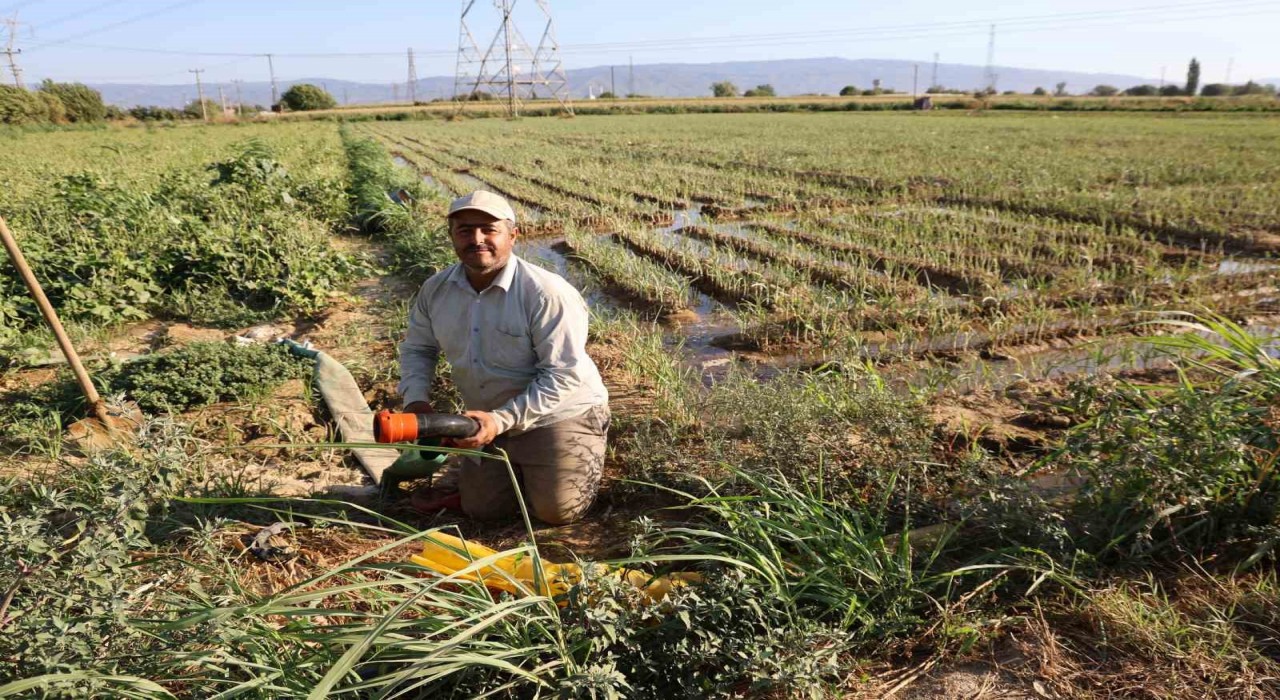 Aydında su kıtlığı çiftçilerin mesai saatlerini değiştirdi