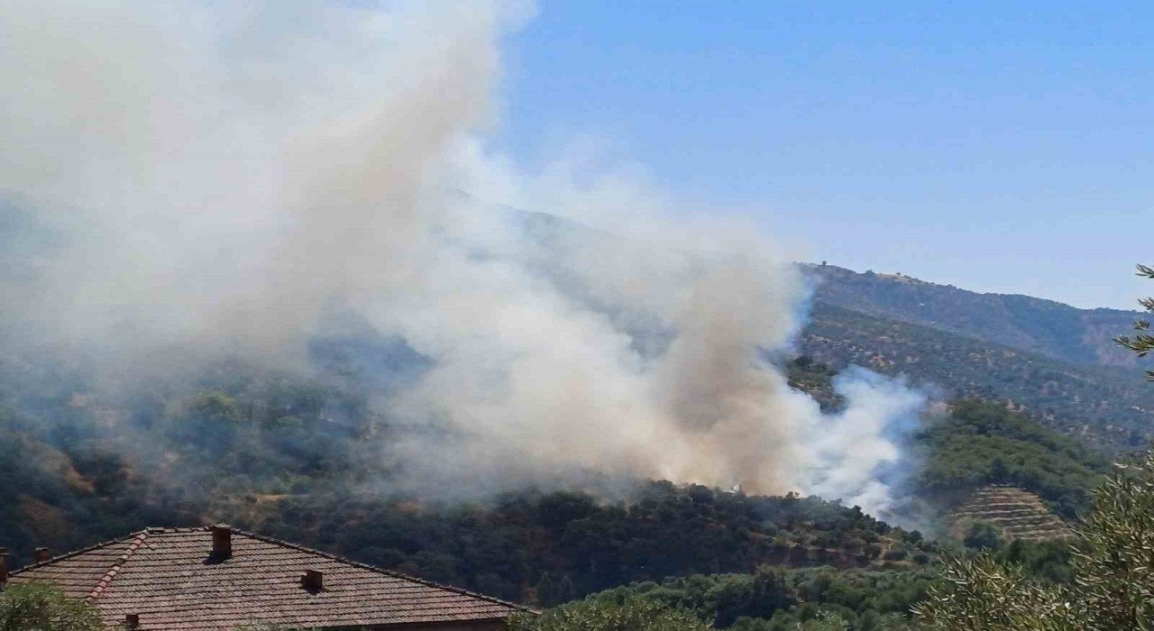 Aydında zirai alan yangını