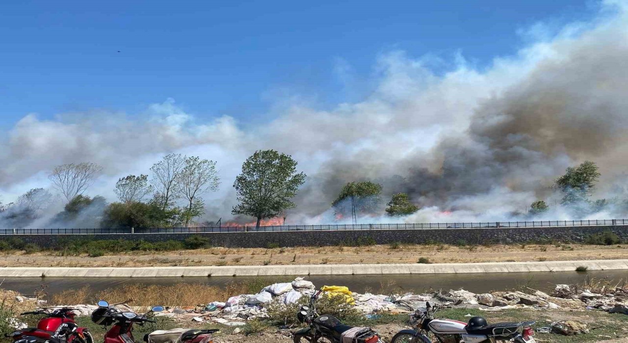 Ayvacıkta çöplük alanda çıkan yangın ormana sıçradı