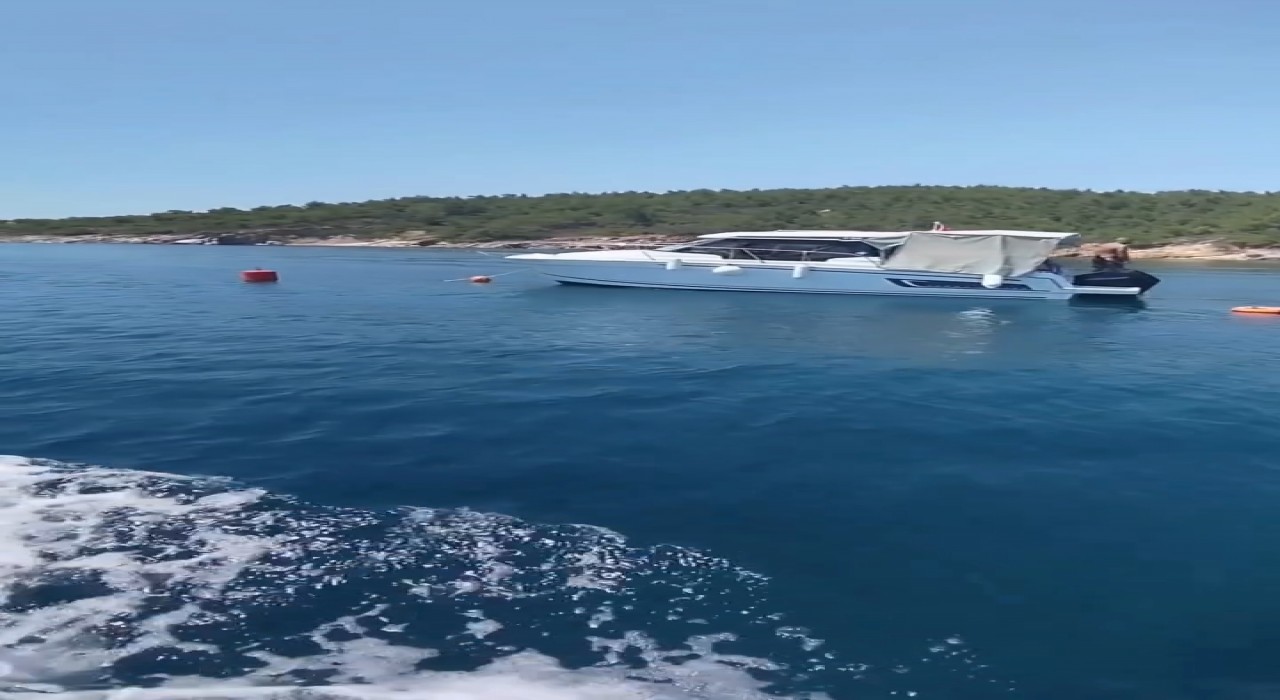 Ayvalık Adalarında deniz çayırları korunuyor