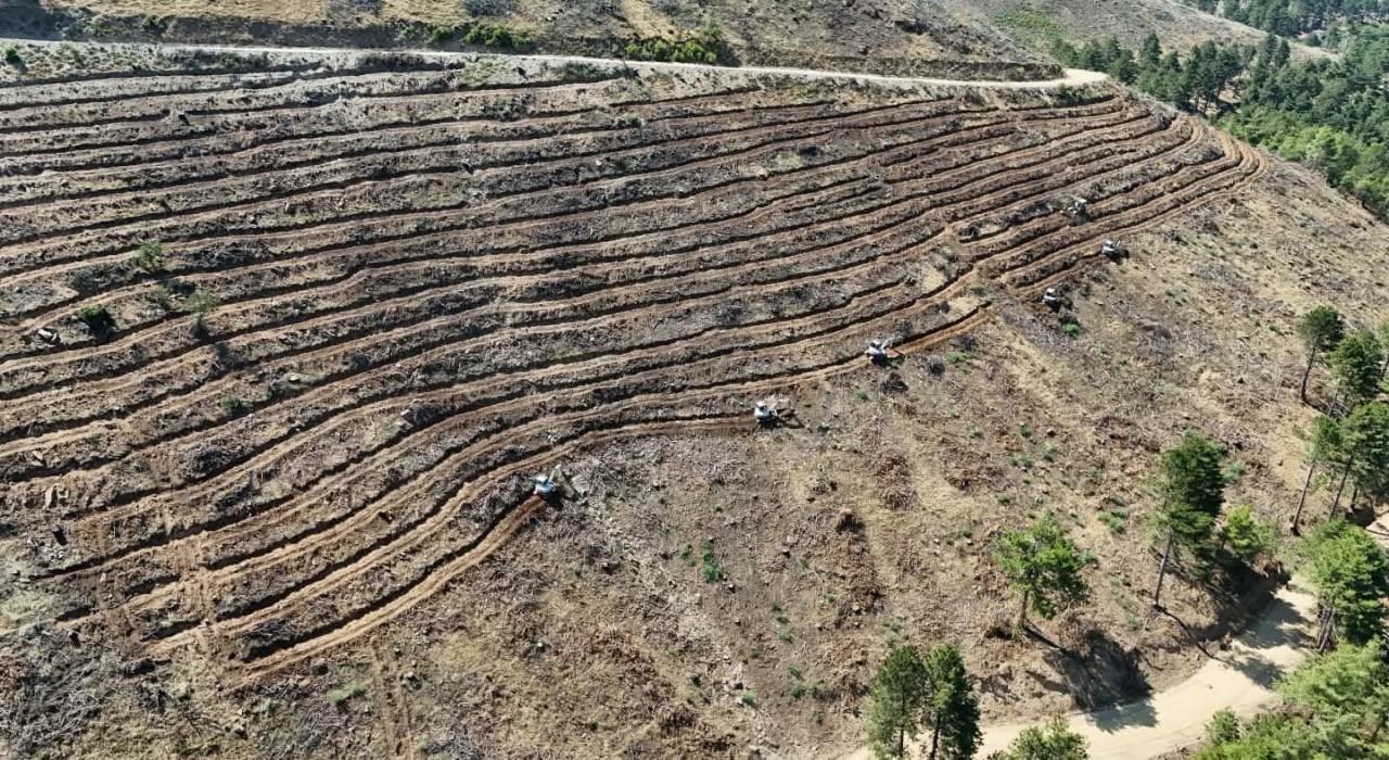 Babadağda geçen yıl yanan bölgelere ağaçlandırma çalışmaları sürdürülüyor
