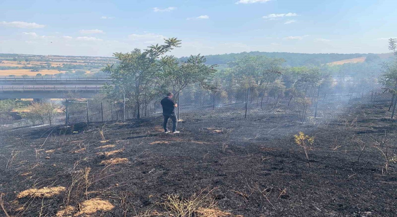 Babaeskide ağaçlık alanda çıkan yangın söndürüldü