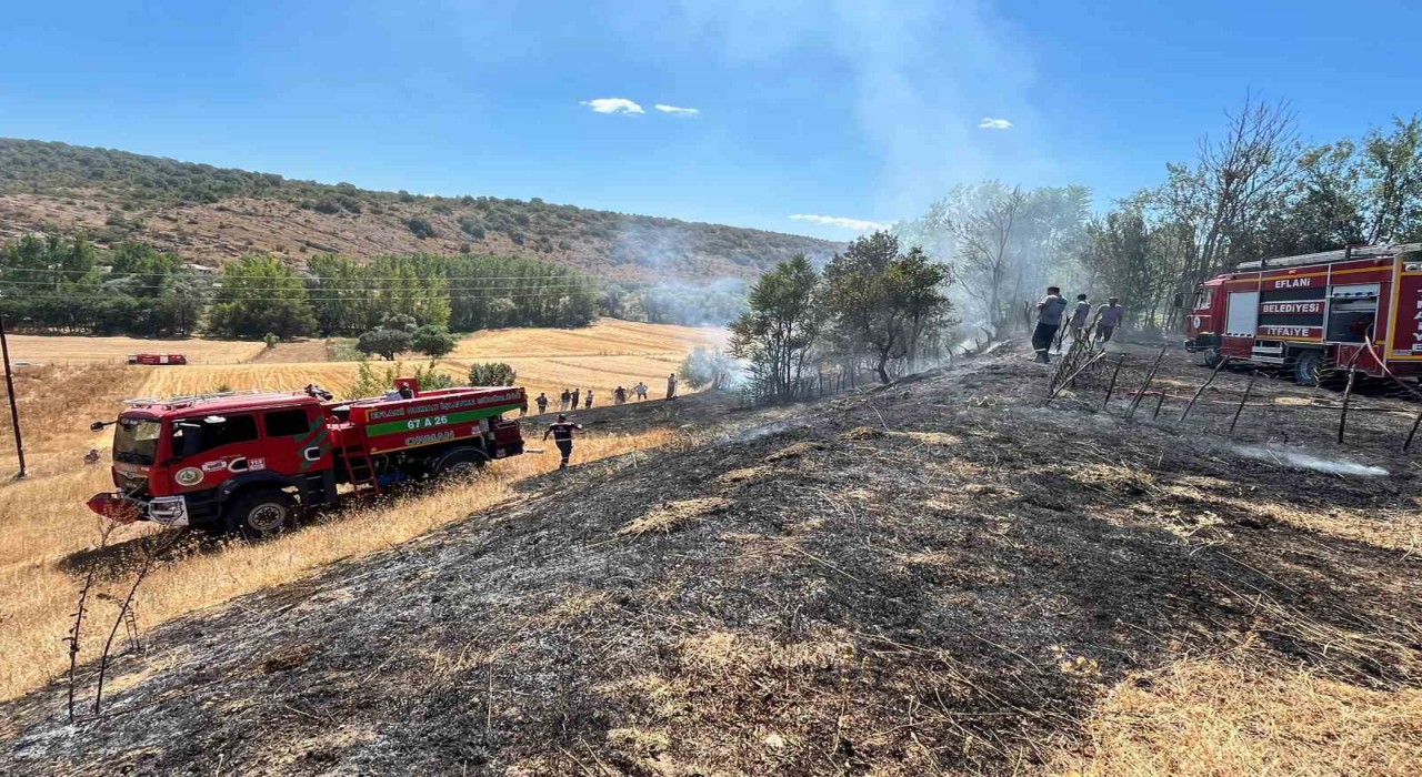 Bahçe yangını evlere sıçramadan söndürüldü