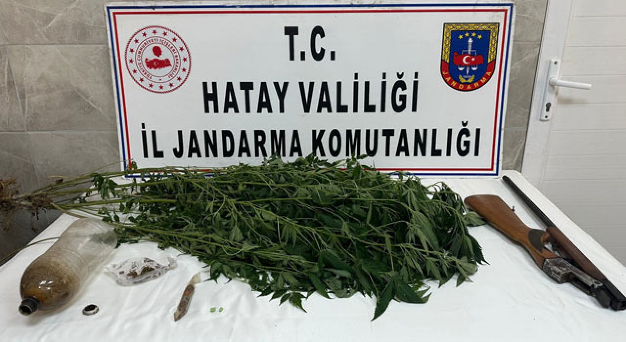 Bahçede Hint Keneviri ve Uyuşturucu Ele Geçirildi