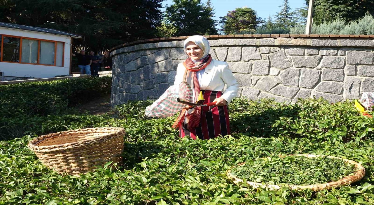 Bakan Göktaş: Aile bizim istikbalimiz