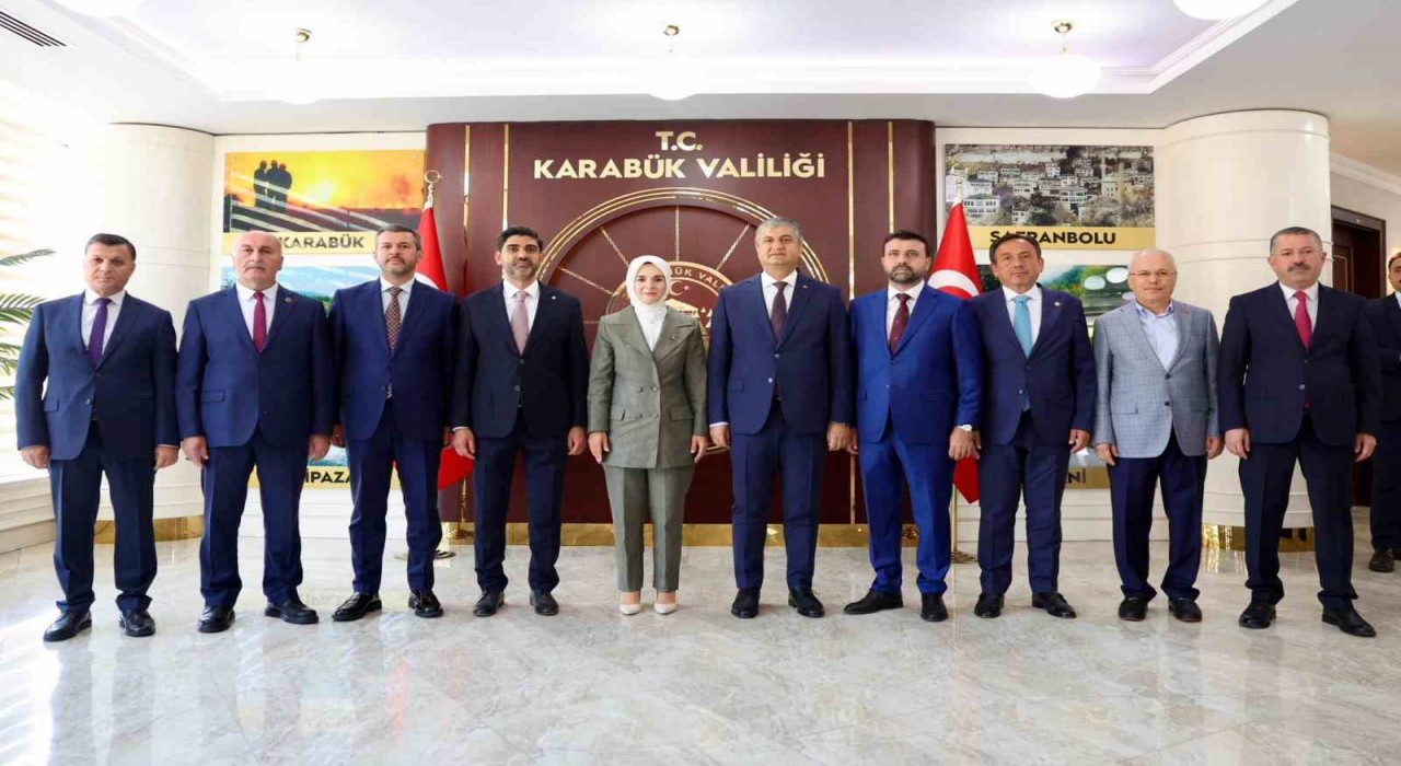 Bakan Göktaş: Balıkesirde Bin 87 vatandaşımıza 143 personelimizle psikososyal destek ve çeşitli destekler sağladık