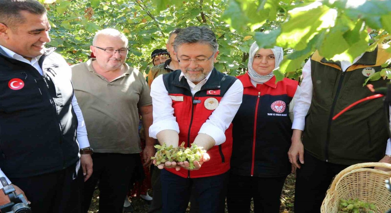 Bakan Yumaklı: Fındık stratejik bir ürün, dünyada birinciyiz