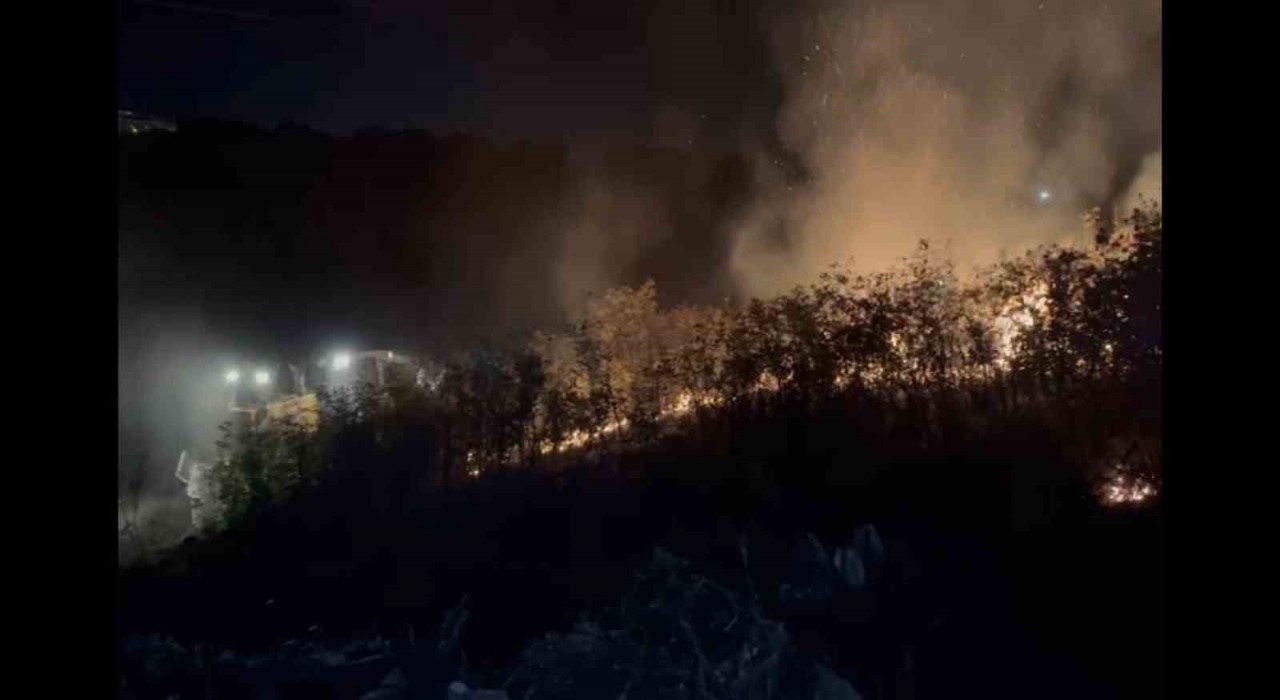 Balıkesirde alevler geceyi aydınlattı