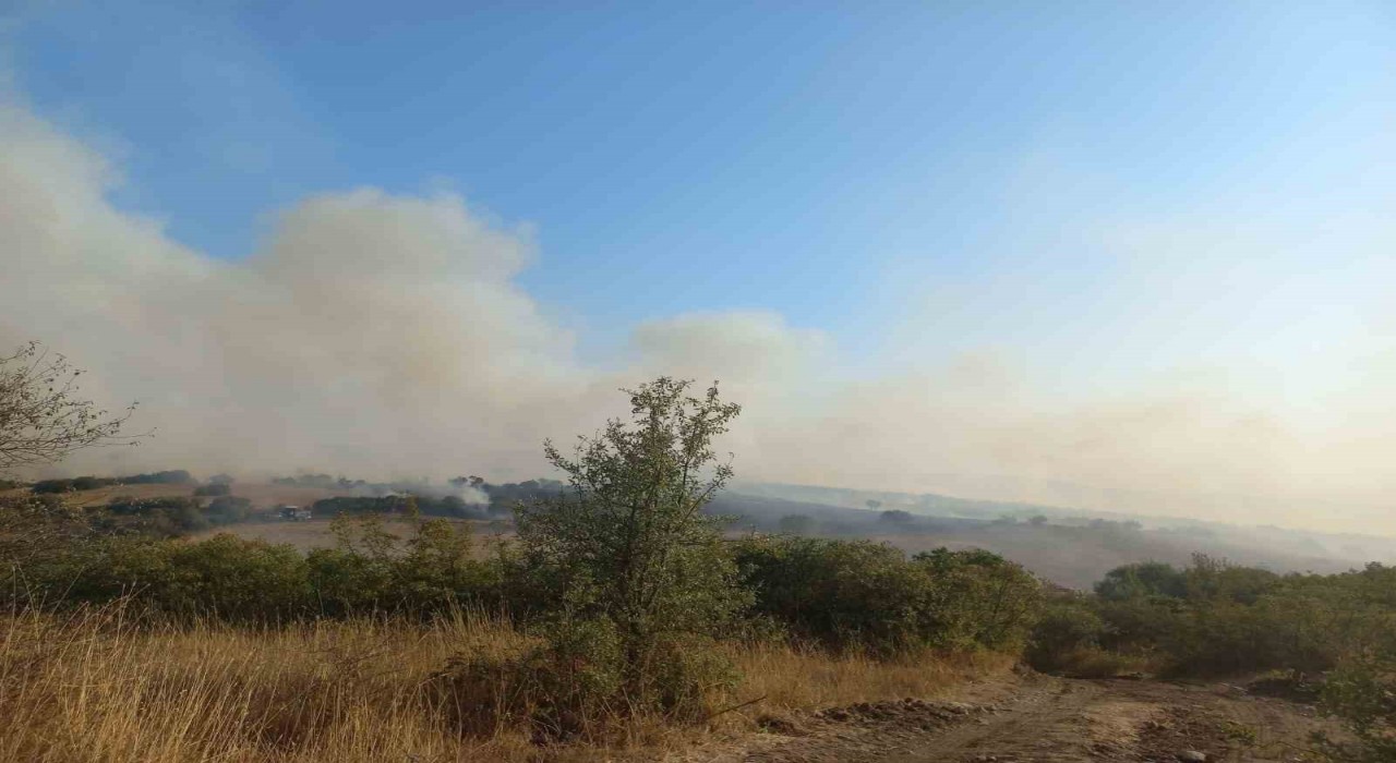 Balıkesirde arazi yangını