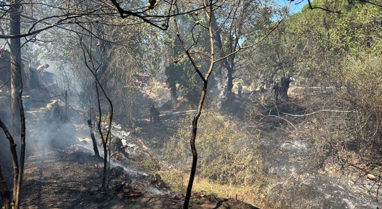 Balıkesirde kırsal alanda çıkan yangın kısa sürede söndürüldü