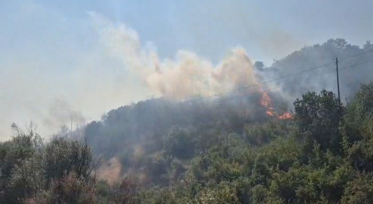 Balıkesirde otluk ve makilik alanda çıkan yangın kontrol altına alındı