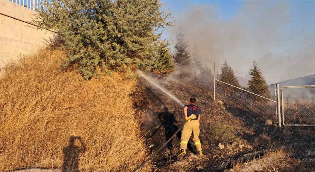 Balıkesirde otoyol kenarında ot yangını korkuttu