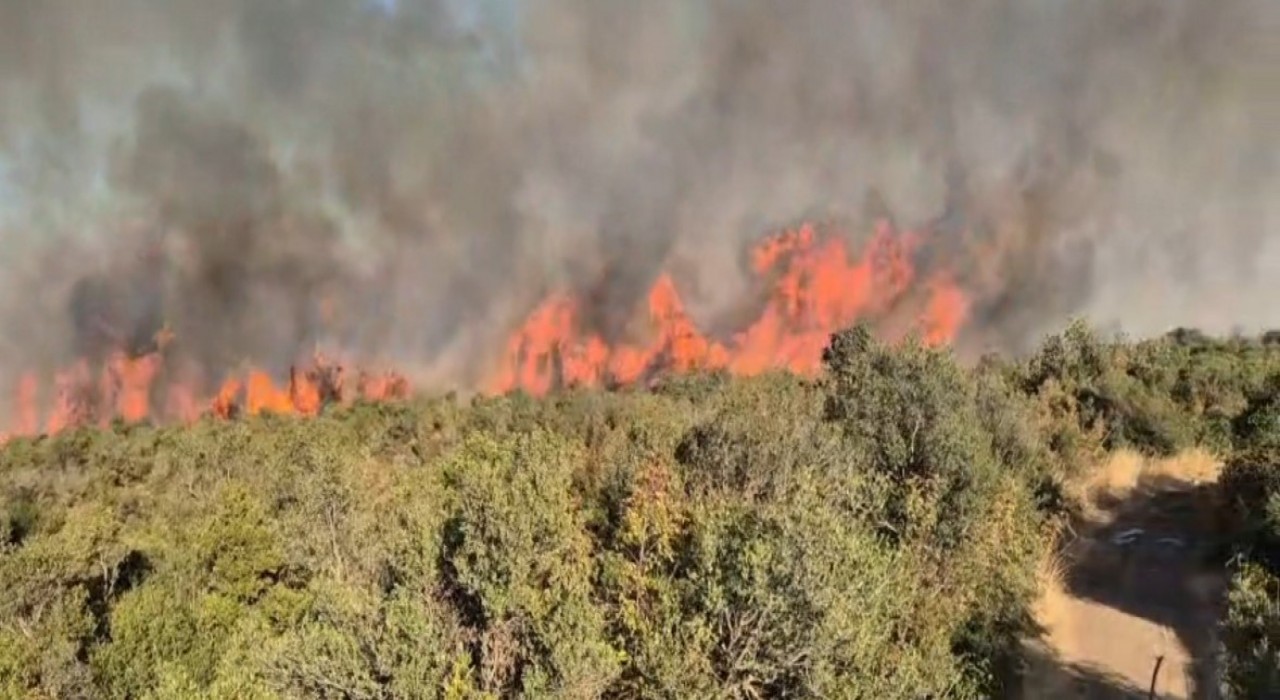 Balıkesirdeki orman yangınına müdahale sürüyor