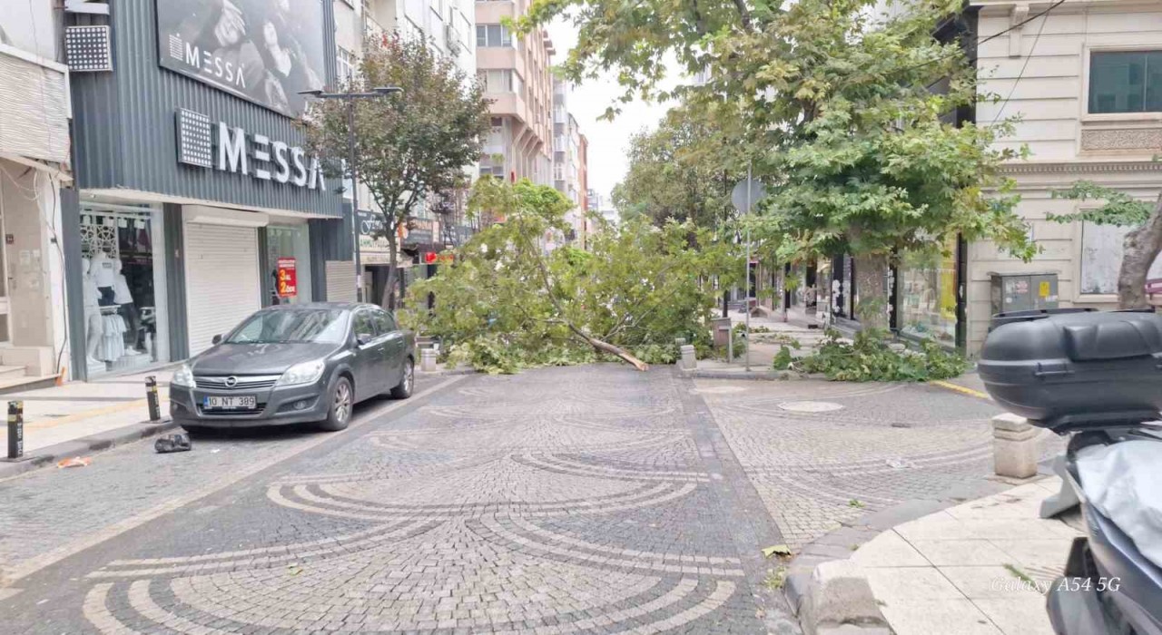 Bandırmada gece yarısı fırtına: Ağaçlar devrildi, araçlar zarar gördü