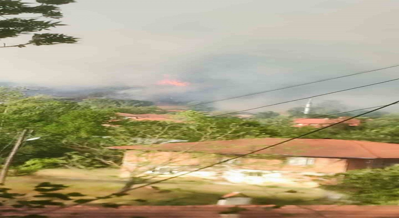 Bartında orman yangını: Alevler rüzgarın etkisiyle yerleşim yerini tehdit ediyor