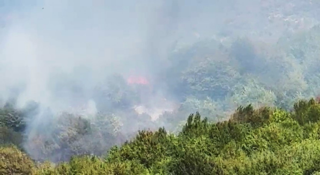 Bartında orman yangını çıktı