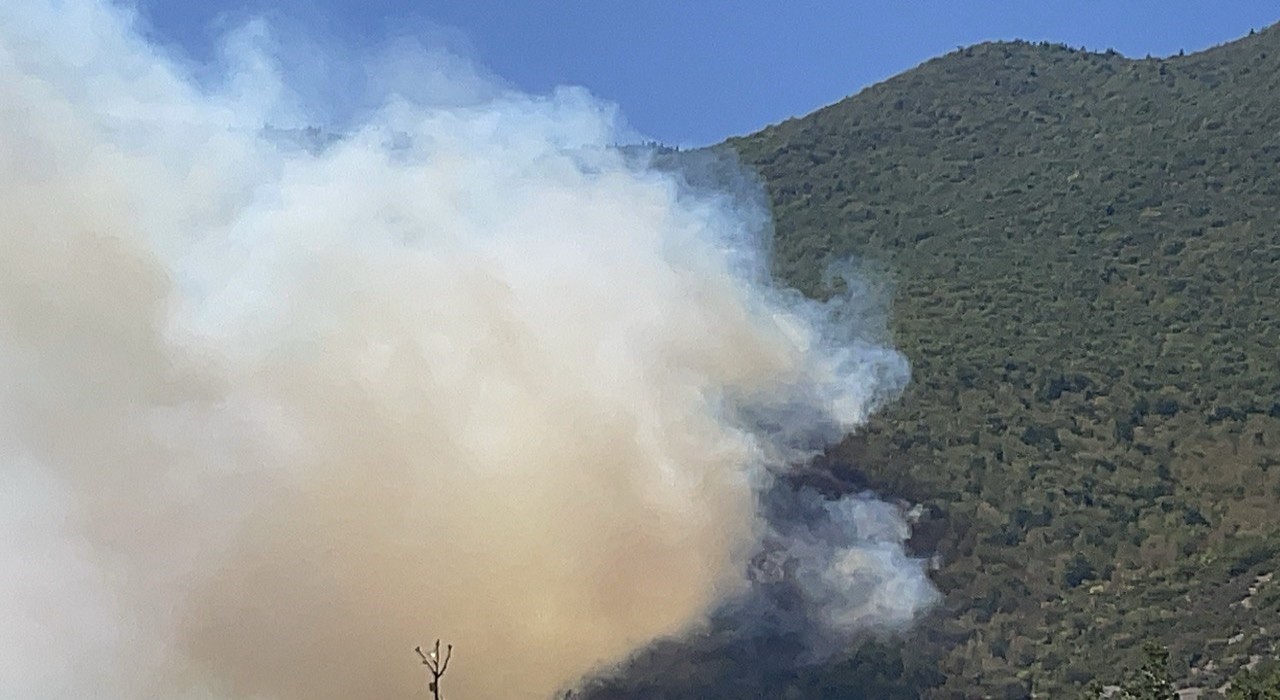 Bartında orman yangını çıktı