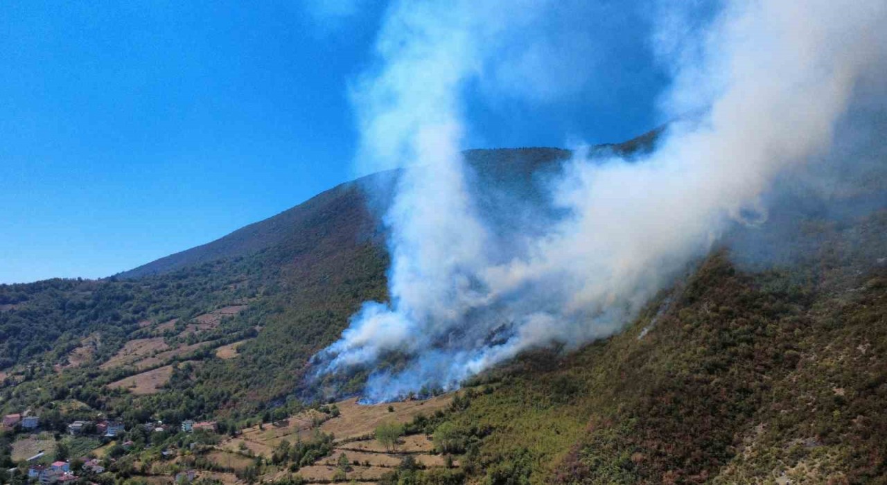 Bartında yangın bölgesi havadan görüntülendi