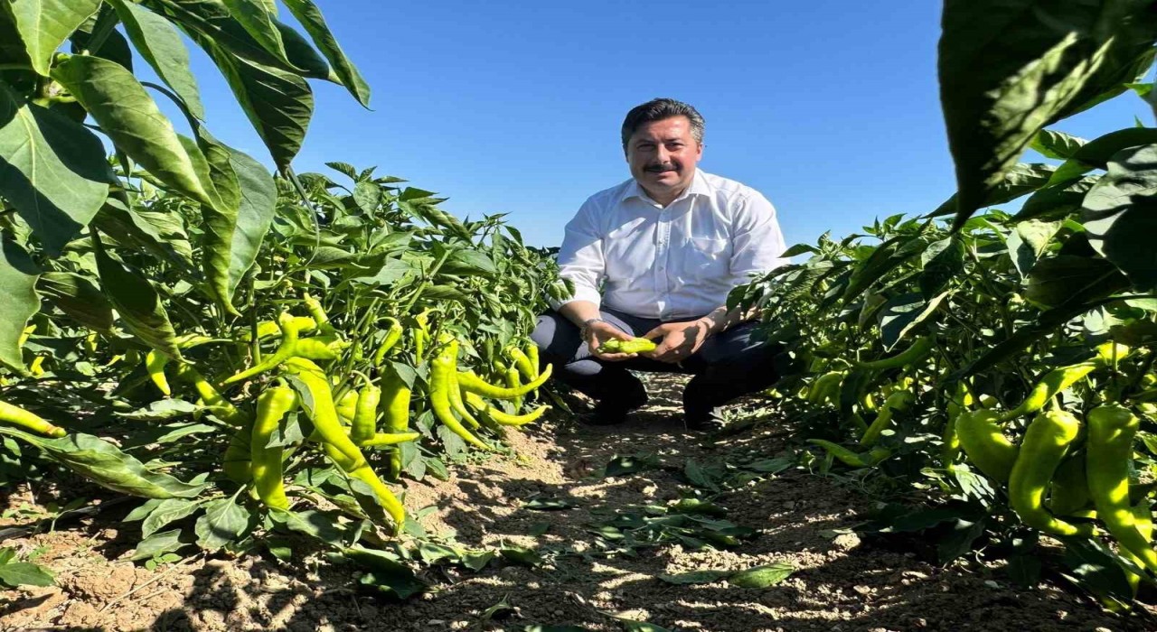 Başkan Özelden tarım işçilerine ziyaret