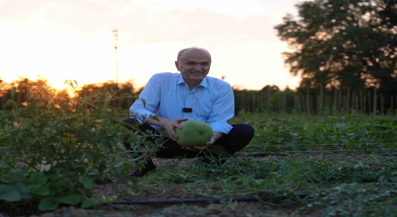 Başkan Özlü, Tarım yapılabilecek her yeri korumak istiyoruz