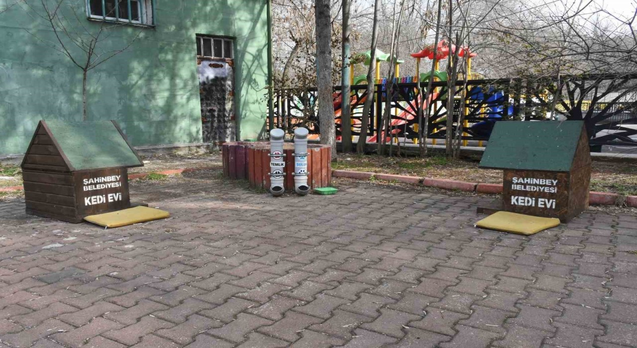 Başkan Tahmazoğlu: Sıcak havalar hayvanları da olumsuz etkiliyor