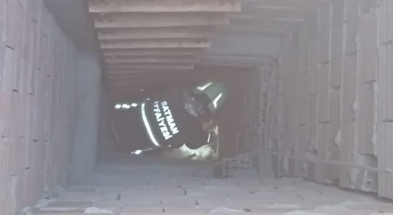 Batman Sanayi Sitesinde iş yerinin hava boşluğunda mahsur kalan kedi kurtarıldı