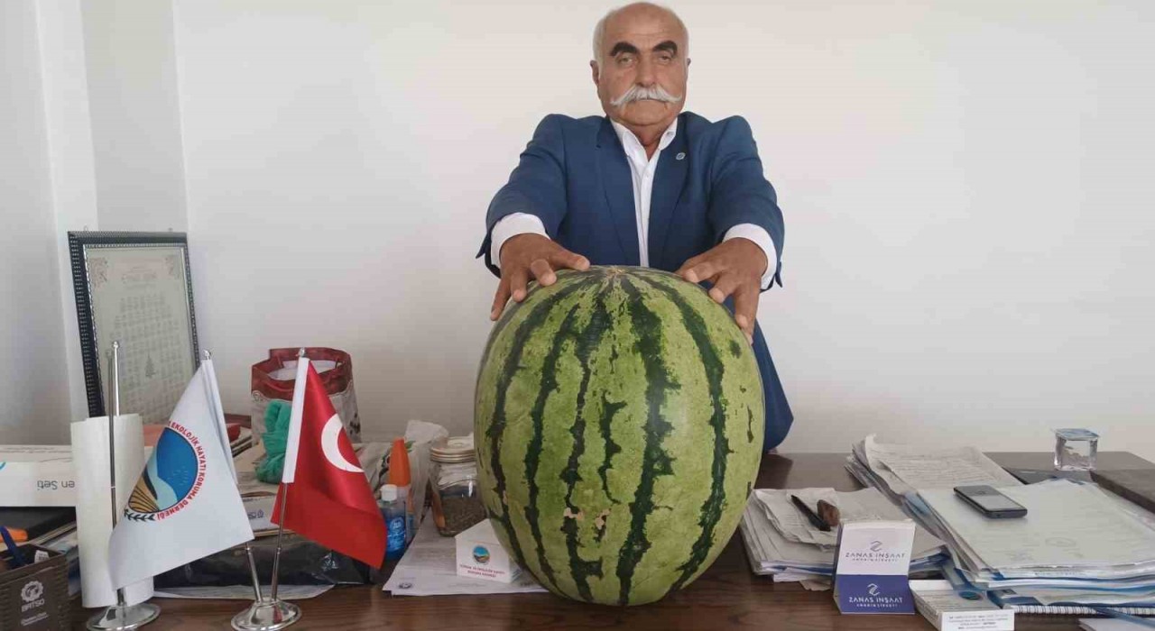 Batmanda 45 kiloluk karpuz dikkat çekti