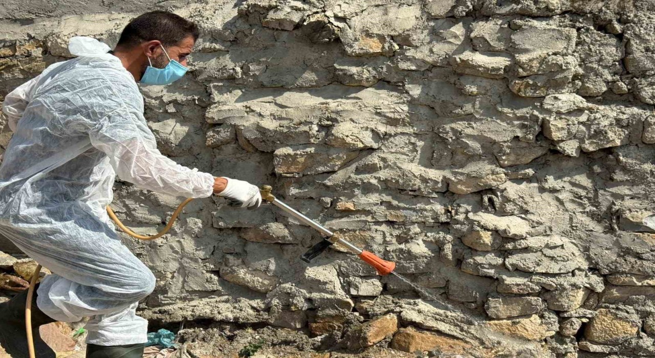 Batmanda akreplerin istila ettiği köyde ilaçlama yapıldı