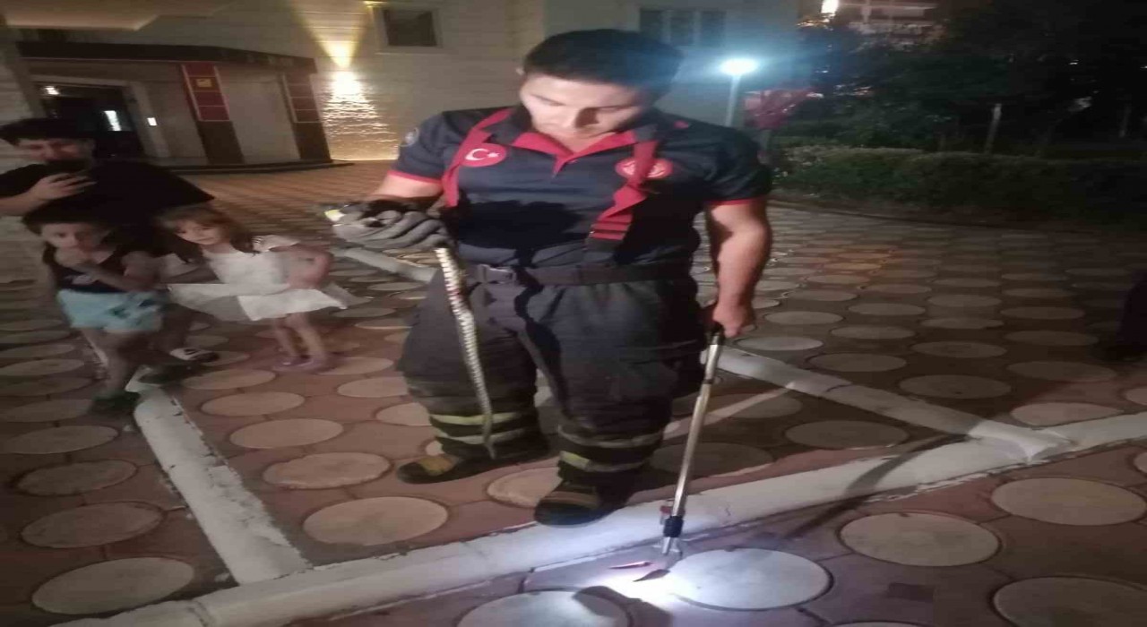 Batmanda site bahçesinde yılan paniği