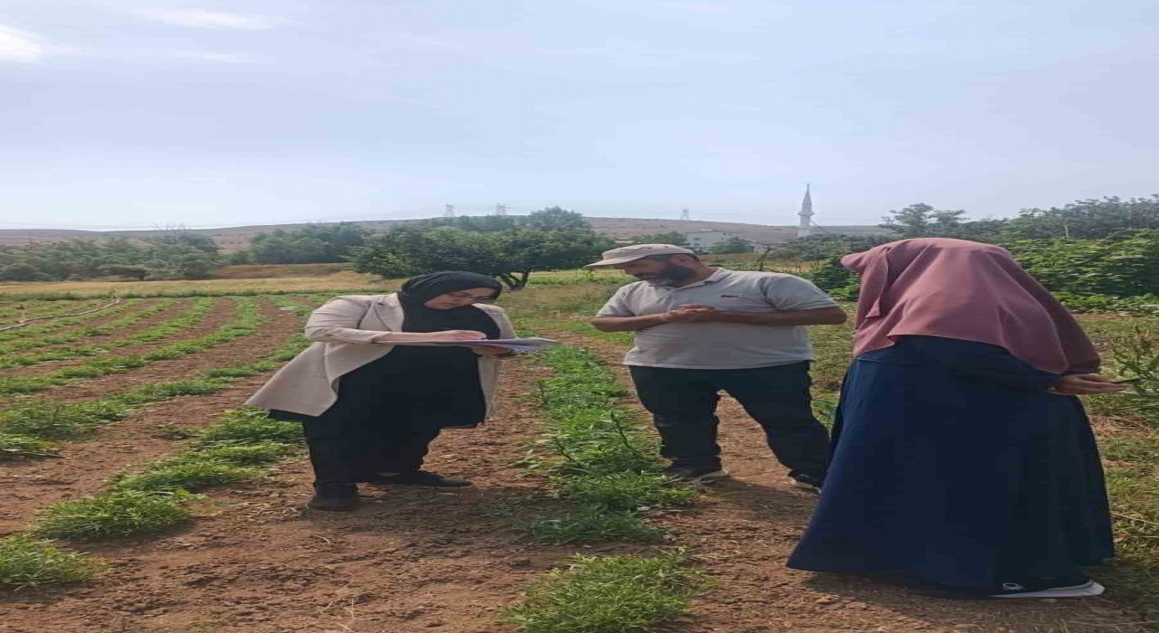 ‘Bayburt Tarhunu coğrafi işaret tescilinin ardından ilk kez denetlendi