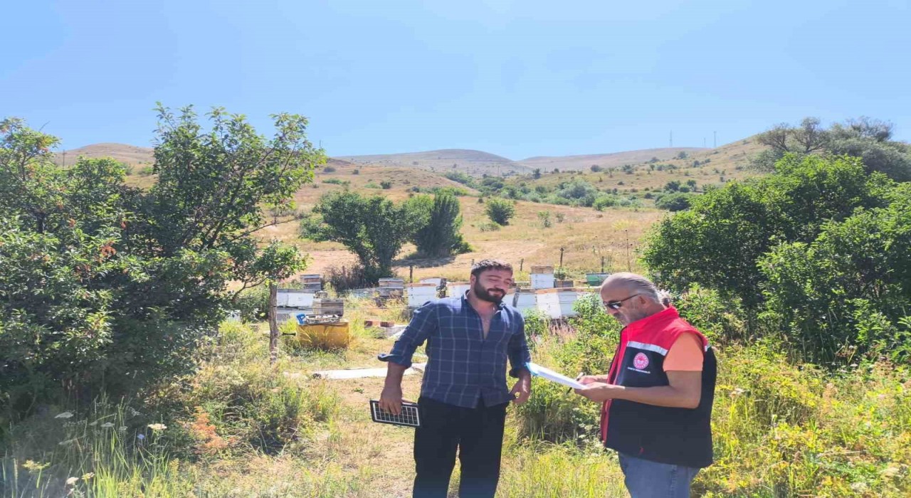 Bayburtta arılı kovan desteklemesi kapsamında tespit çalışmaları başladı