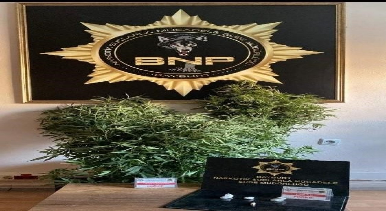 Bayburtta birçok adrese eş zamanlı narkotik operasyonu yapıldı