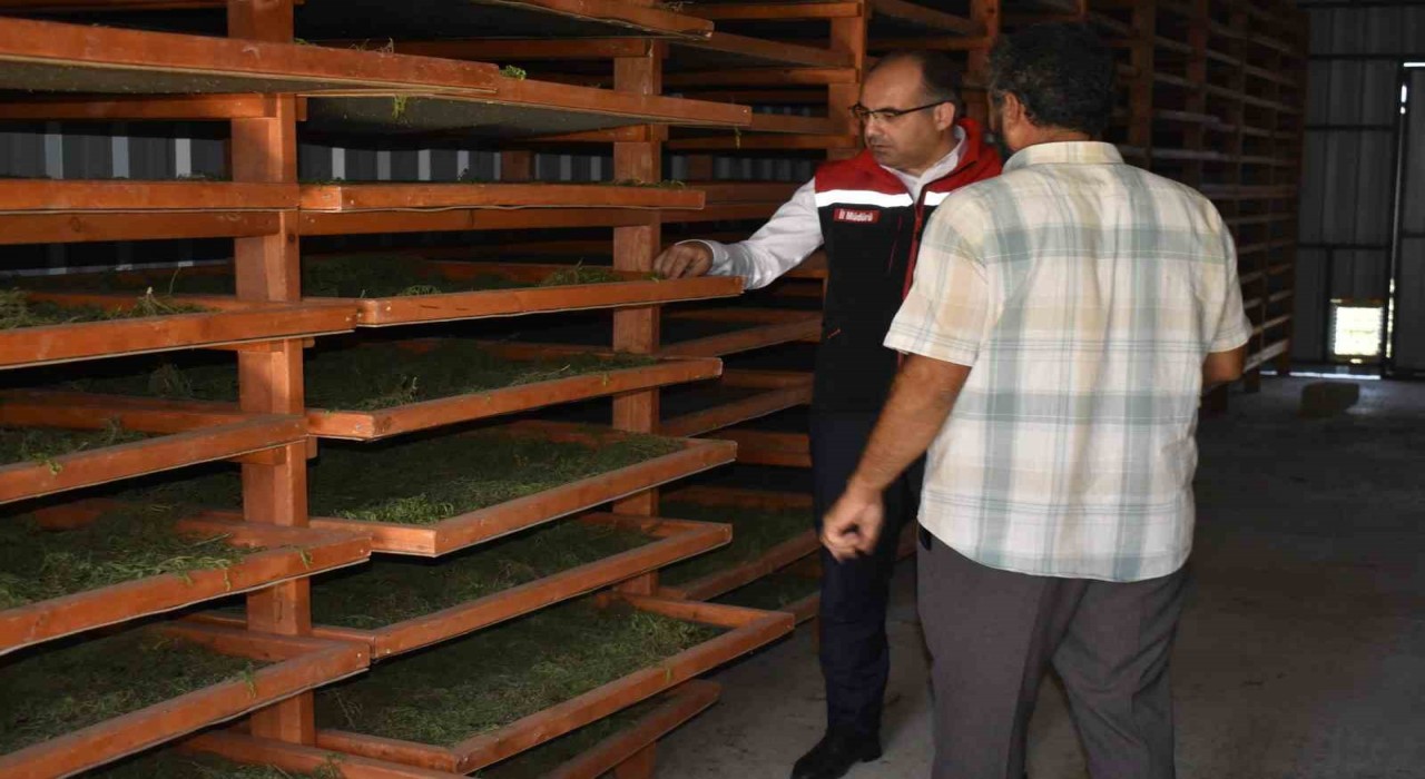 Bayburtta Tarhun Kurutma Tesisi ve üretim alanları incelendi