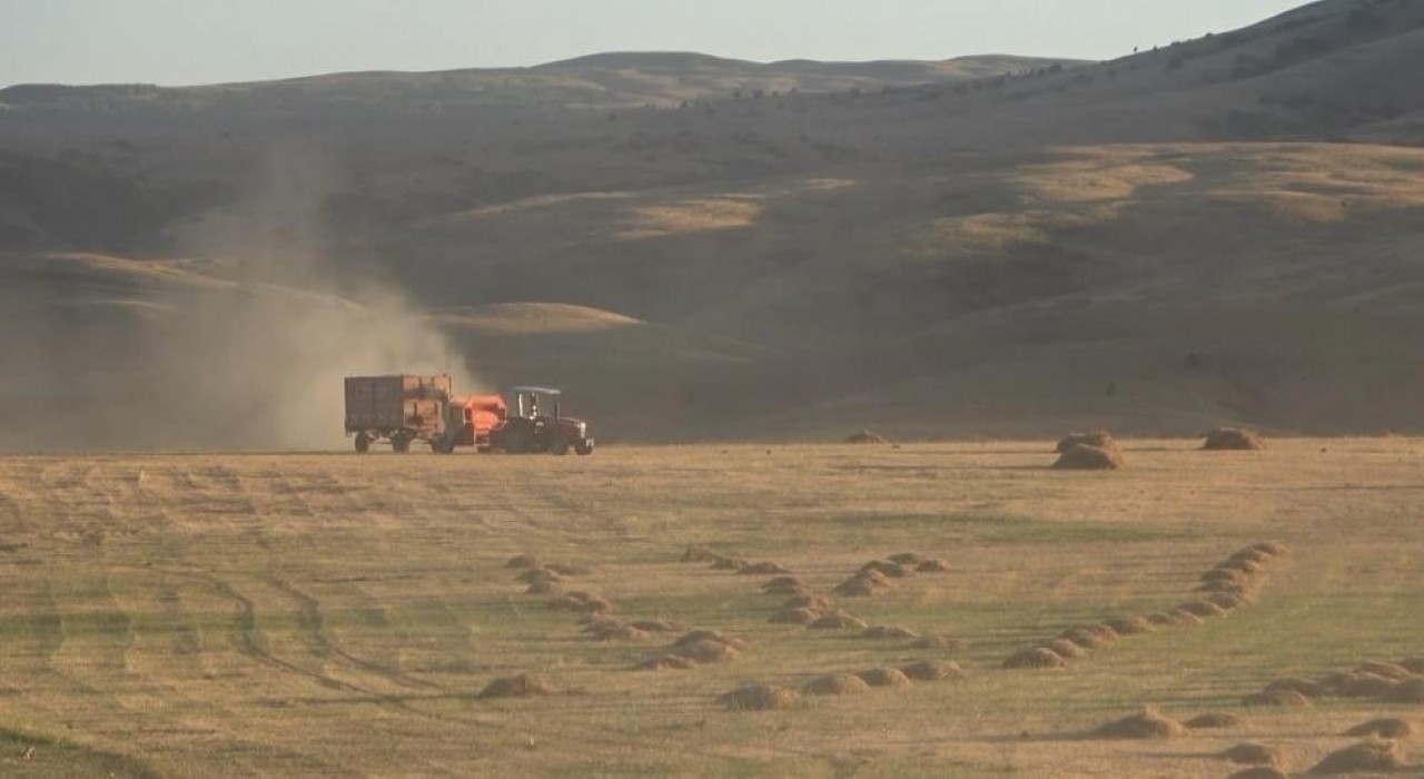 Bayburtun Çayırköprü köyünde 194 balya ot çalındı