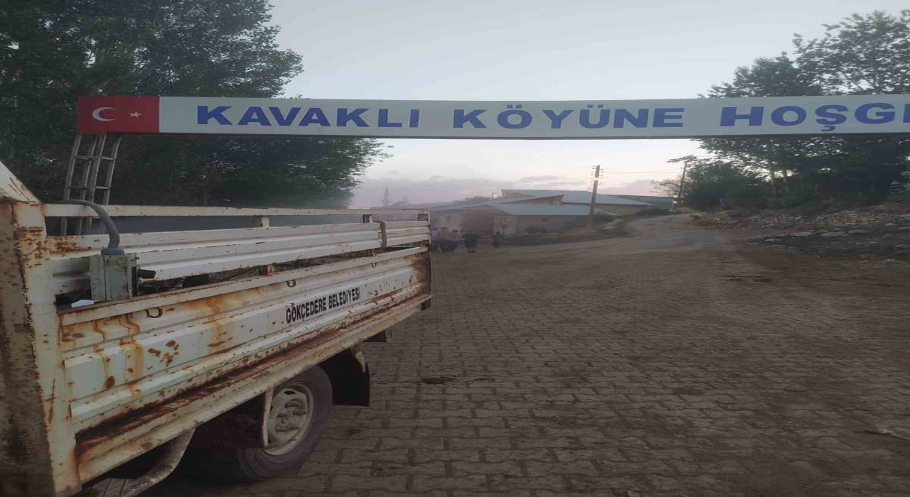 Bayburtun köylerinde sinek ve haşerelere karşı ilaçlama çalışması başlatıldı