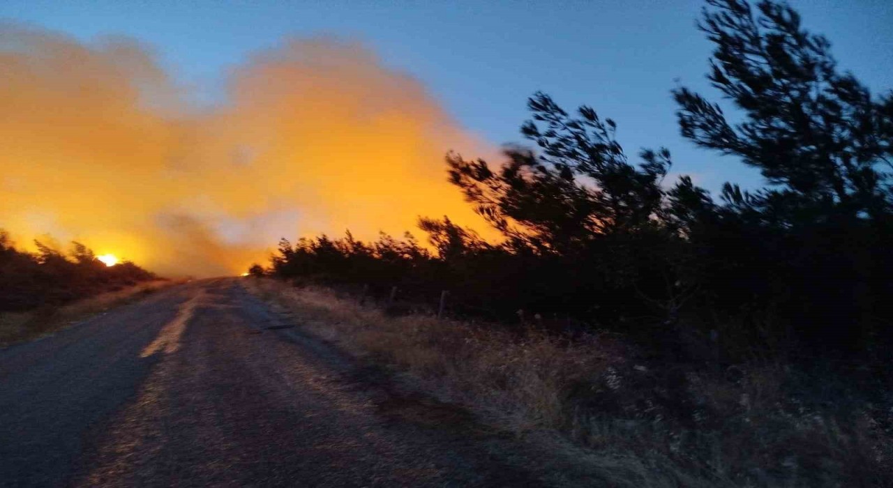 Bayramiçteki yangını söndürme çalışmaları aralıksız sürüyor