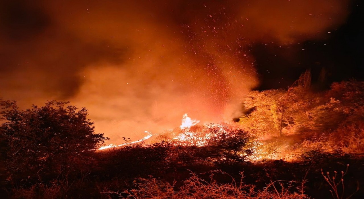 Besnide 4 farklı noktada yangın