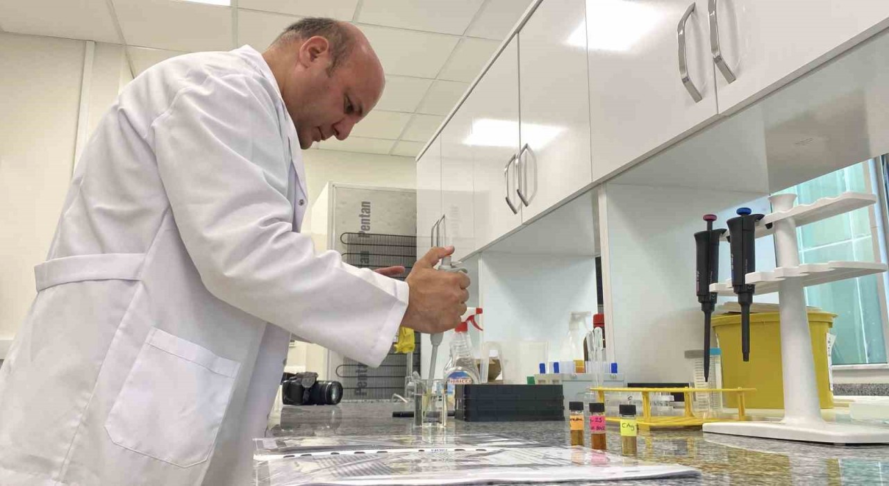 Beyin kanseri tedavisinde yerli ve etkili nano molekül geliştirildi