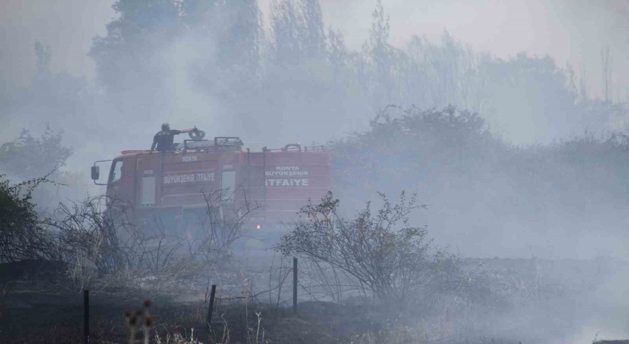 Beyşehirde kampüs yakınlarındaki yangın korkuttu