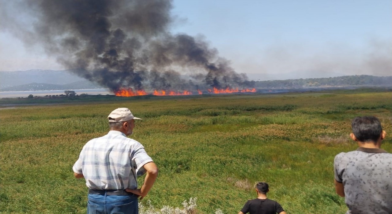Beyşehirde sazlık alanda çıkan yangın havadan müdahale ile söndürüldü