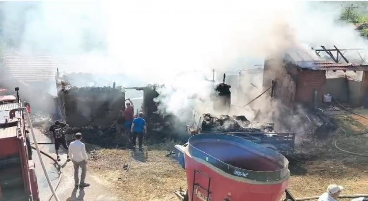 Bilecikte çıkan samanlık yangını, 1 yaralı