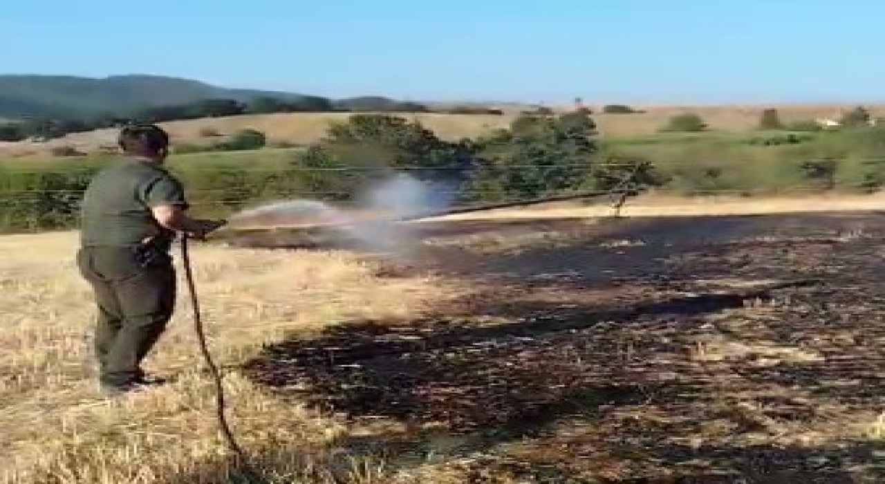 Bilecikte çıkan yangın kontrol altında